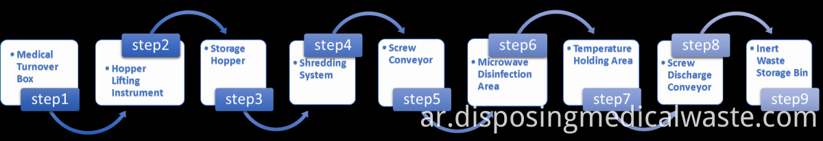 Microwave disinfection process